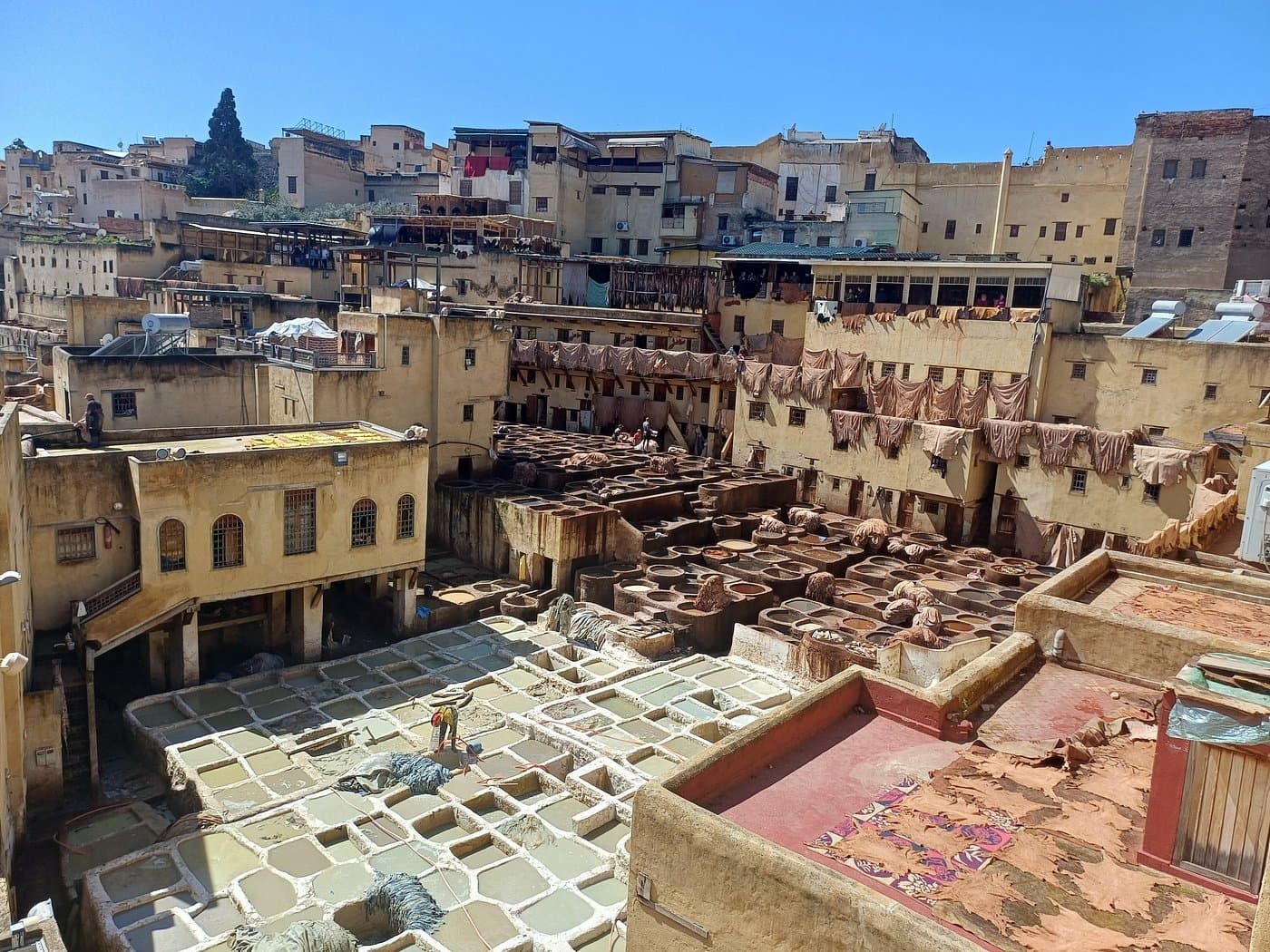 A Journey Through Time: Discovering Marrakesh's Royal Legacy