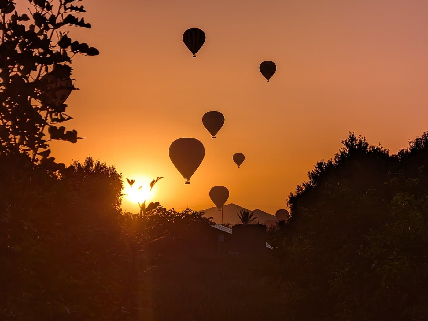 The magic of Marrakesh from above